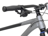 Kent Bicycles 29" Men'S Trouvaille Mountain Bike Medium, Black and Taupe