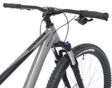 Kent Bicycles 29" Men'S Trouvaille Mountain Bike Medium, Black and Taupe