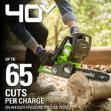 Greenworks 40V 12" Cordless Chainsaw with 2.0 Ah Battery & Charger, 20262