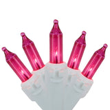Northlight 50 - Count Pink Mini Christmas Light Set, 10 ft White Wire