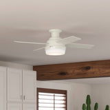 Hunter Dempsey 44" Ceiling Fan - Fresh White, Ceiling Fan for Home